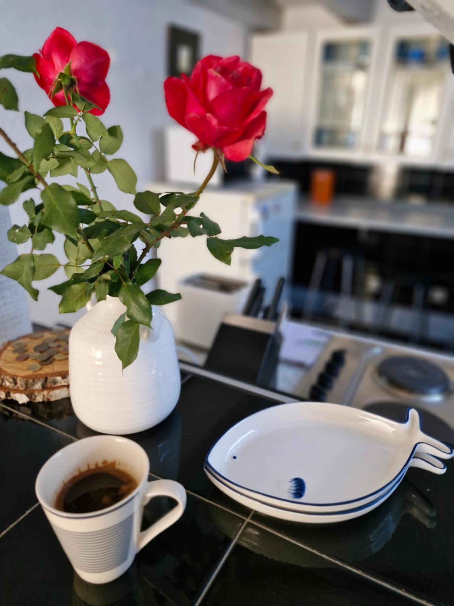Apartman Deki & Kolet Belgrade